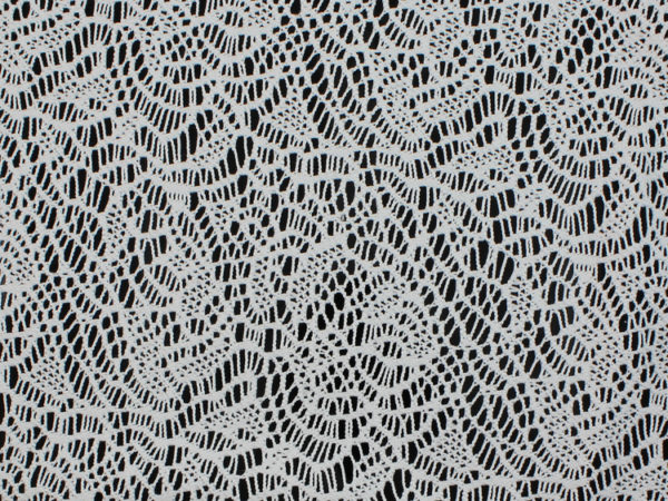 Image of White Crochet Lace fabric